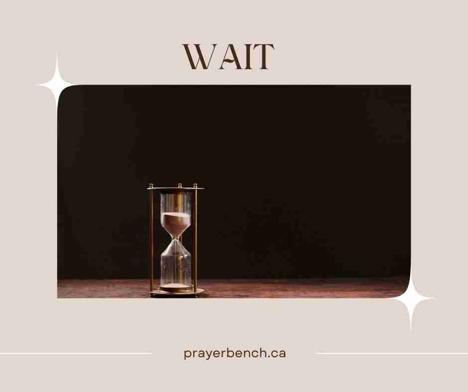 The Waiting